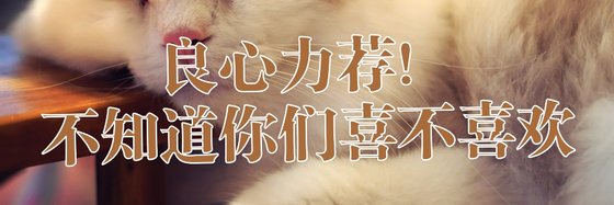 良心力薦！不知道你們喜不喜歡